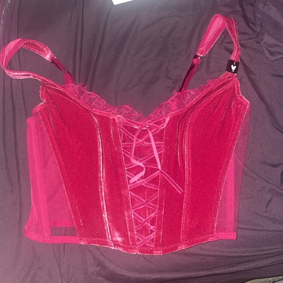 PINK x LoveShackFancy Unlined Lace-Up Corset Top - Picture 12 of 16